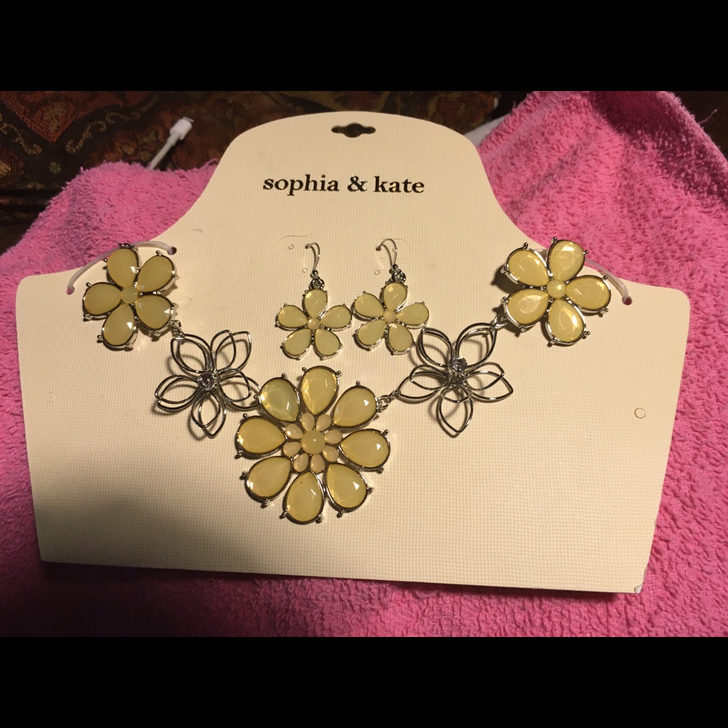 Nwt Sophia And Kate Necklace And Earrings Set